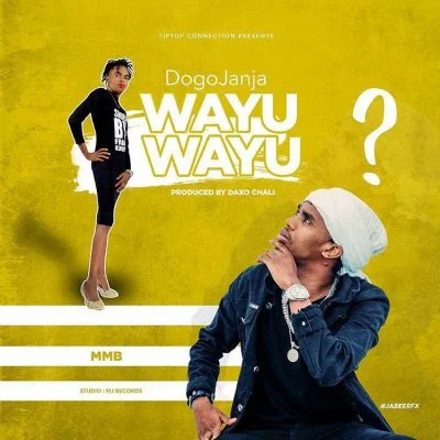 Dogo Janja - Wayu Wayu | Download mp3 Audio