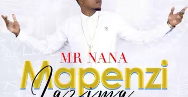 Mr Nana Mapenzi Lazima