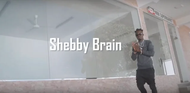 video shebby brain say my name
