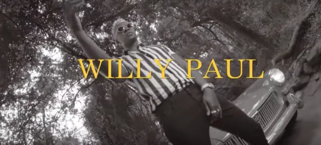 video willy paul bye bye