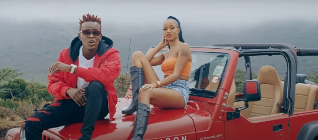 video willy paul ft avril coco