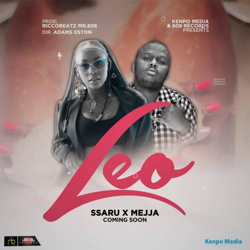 Download Audio Ssaru & Mejja - Leo