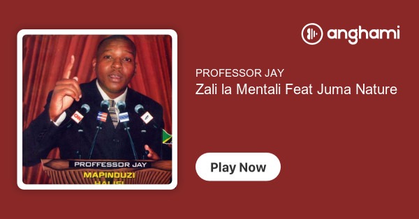 Professor Jay Ft Juma Nature - Zali La Mentali