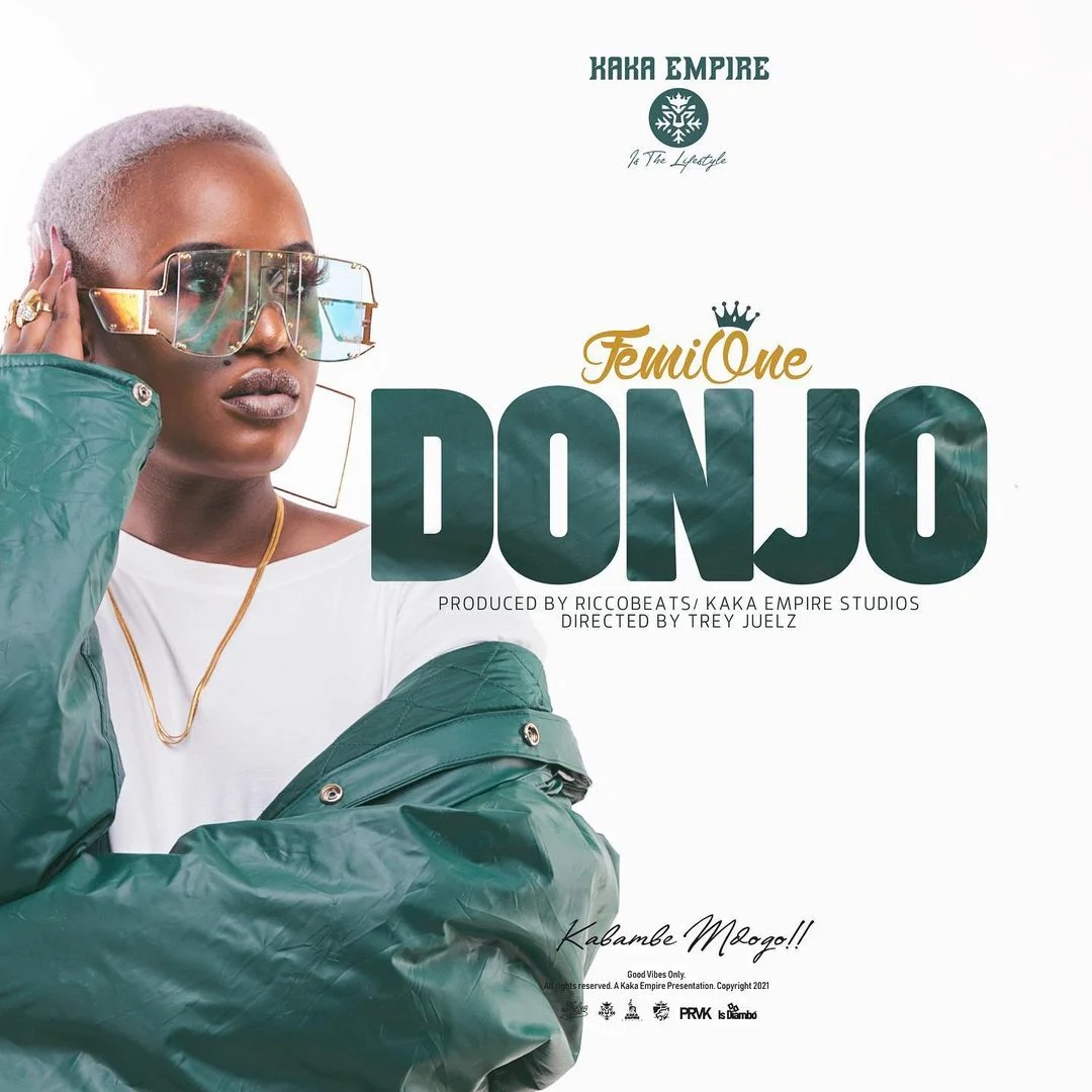 Download Femi One – Donjo Mp3 Audio