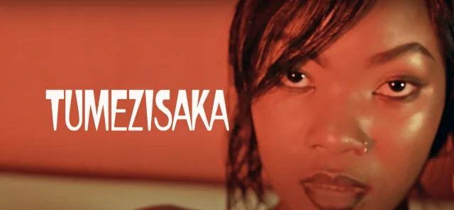 VIDEO D White ft Nchama The Best - Tumezisaka