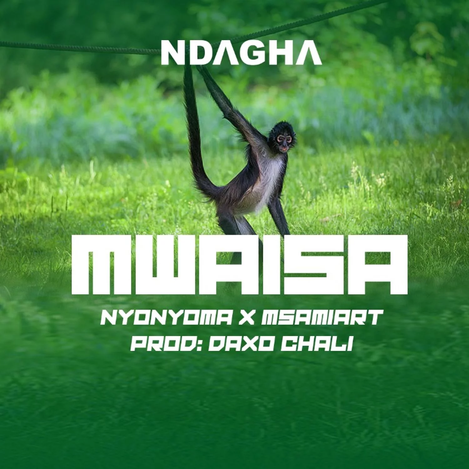 Download | Nyonyoma X Msamiart – MWAISA | Mp3 Audio