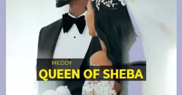 meddy queen of sheba