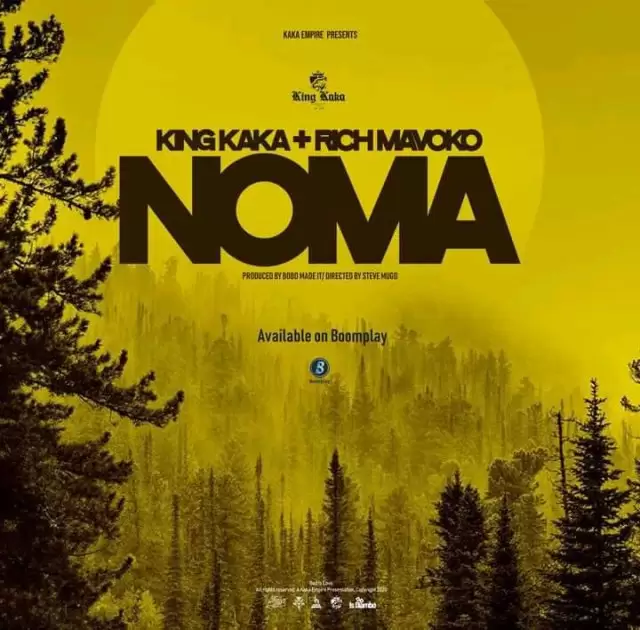 Download King Kaka Rich Mavoko Noma
