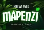 Mzee wa Bwax Mapenzi