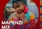 Mapenzi Mix ft Whozu